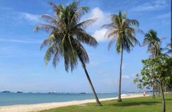 Vela Bay (D16), Apartment #608245961